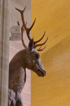 mad-7308-r.jpg