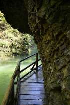 mad-5551-bled.jpg