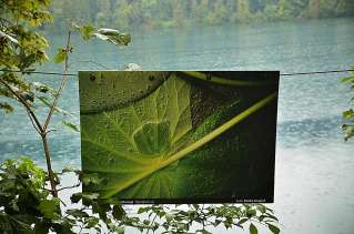mad-5737-bled-r.jpg