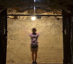 mad-5874-pula-r.jpg