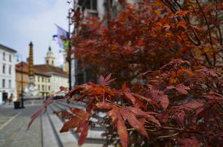 mad-6146-ljubljana-r.jpg