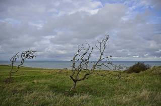 6823-cap-gris-nez-r.jpg
