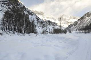 mad-7818-r.jpg