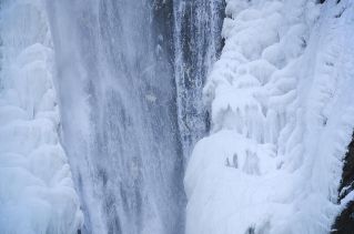 mad-8139-r.jpg