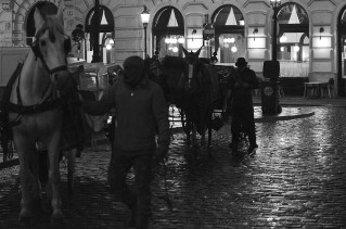vienne-074-mad-0628-r.jpg