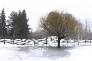Umeå Suède