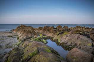 -maf5070-r.jpg