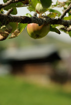 imgp5557.jpg