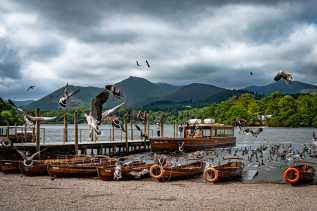 Lake district, Cornwall and Brighton, England
